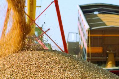 Россия закупила в интервенционный фонд 22,95 тыс. тонн зерна на 343,7 млн рублей