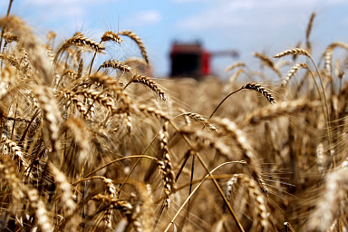 В Луганской Народной Республике совершенствуют механизмы поддержки аграриев