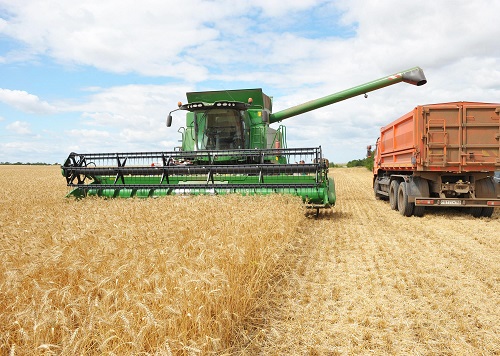РФ к 9 ноября увеличила сбор зерна до 152,2 млн тонн