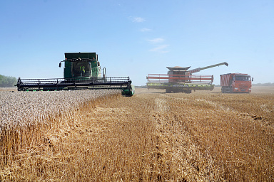 Россия закупила в интервенционный фонд 56,025 тыс. тонн зерна на 851,8 млн рублей