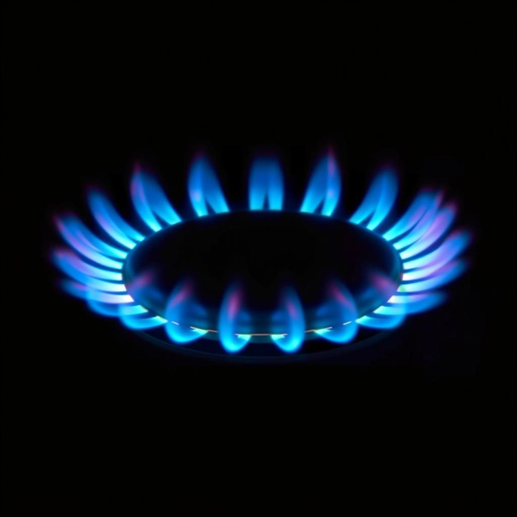 Путин поручил расширить программу социальной газификации