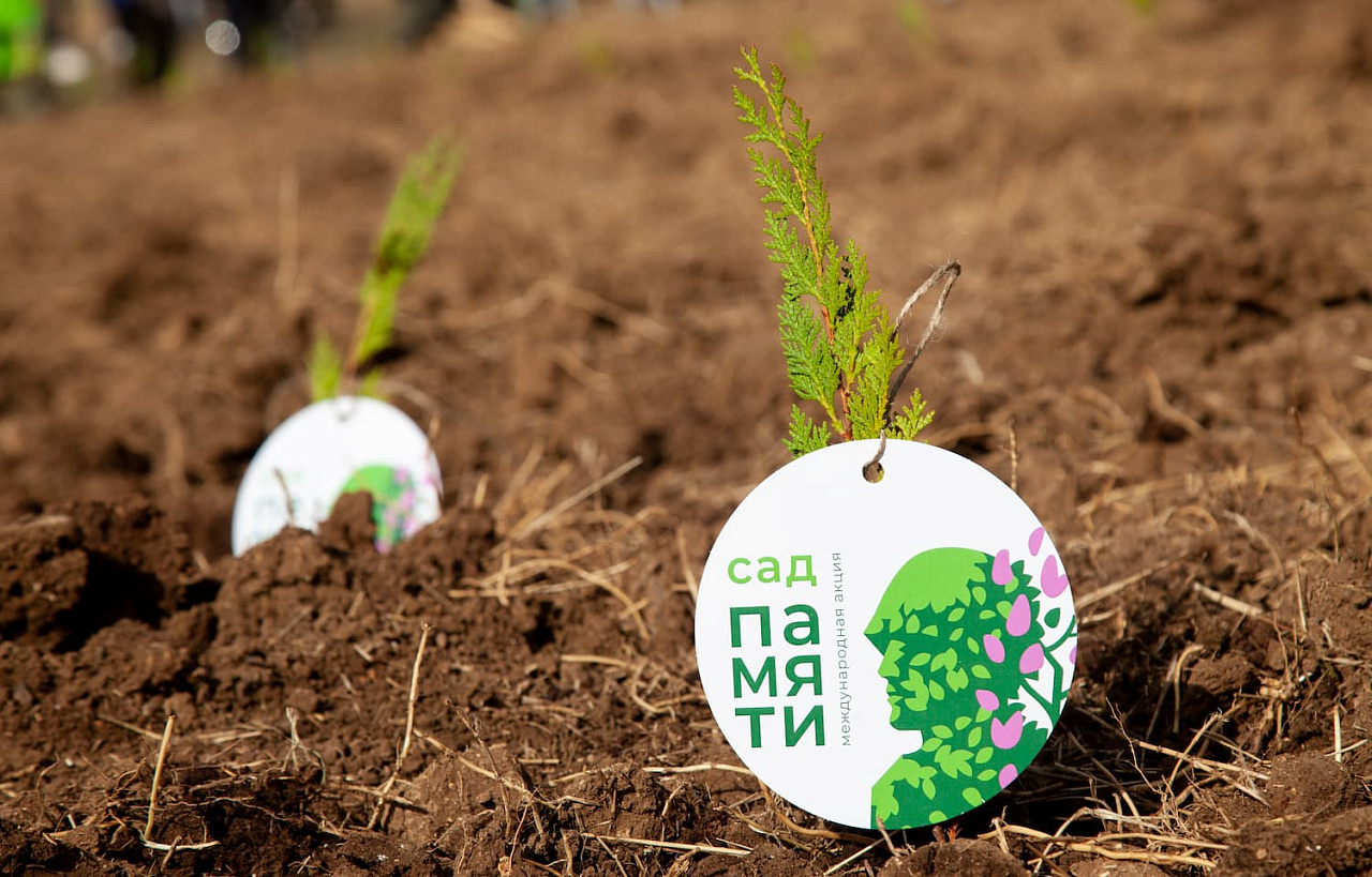 В марте стартует VII сезон Международной акции «Сад Памяти»