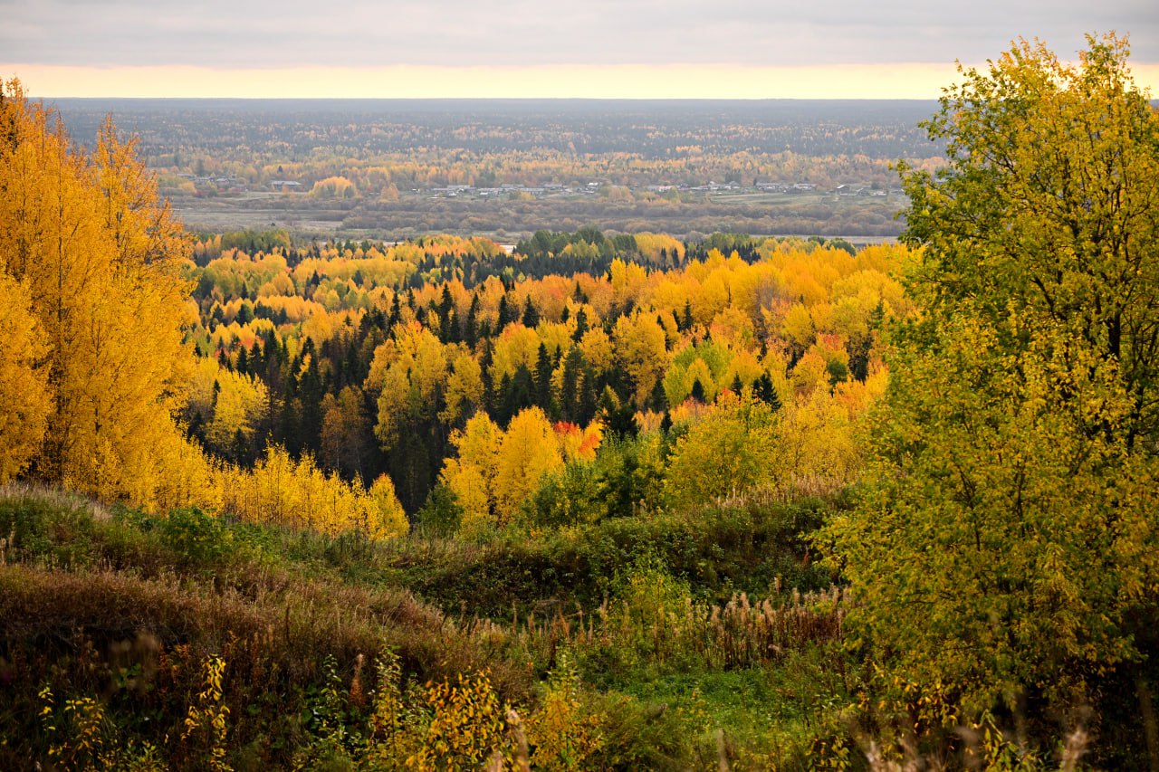 До 2030 года на реализацию федерального проекта «Сохранение лесов» предусмотрен 71 млрд рублей