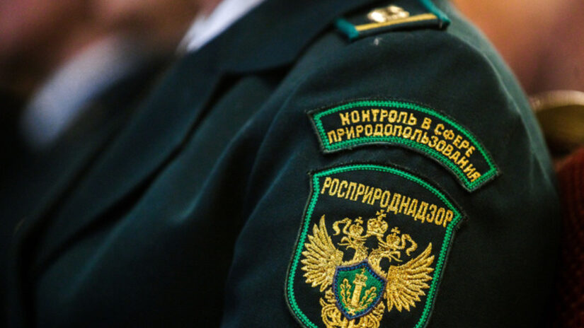 Светлана Радионова доложила Владимиру Путину о работе Росприроднадзора