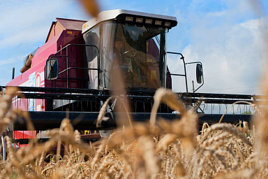 Государственная поддержка производства и реализации зерновых культур в Ивановской области увеличена в полтора раза в 2026 году