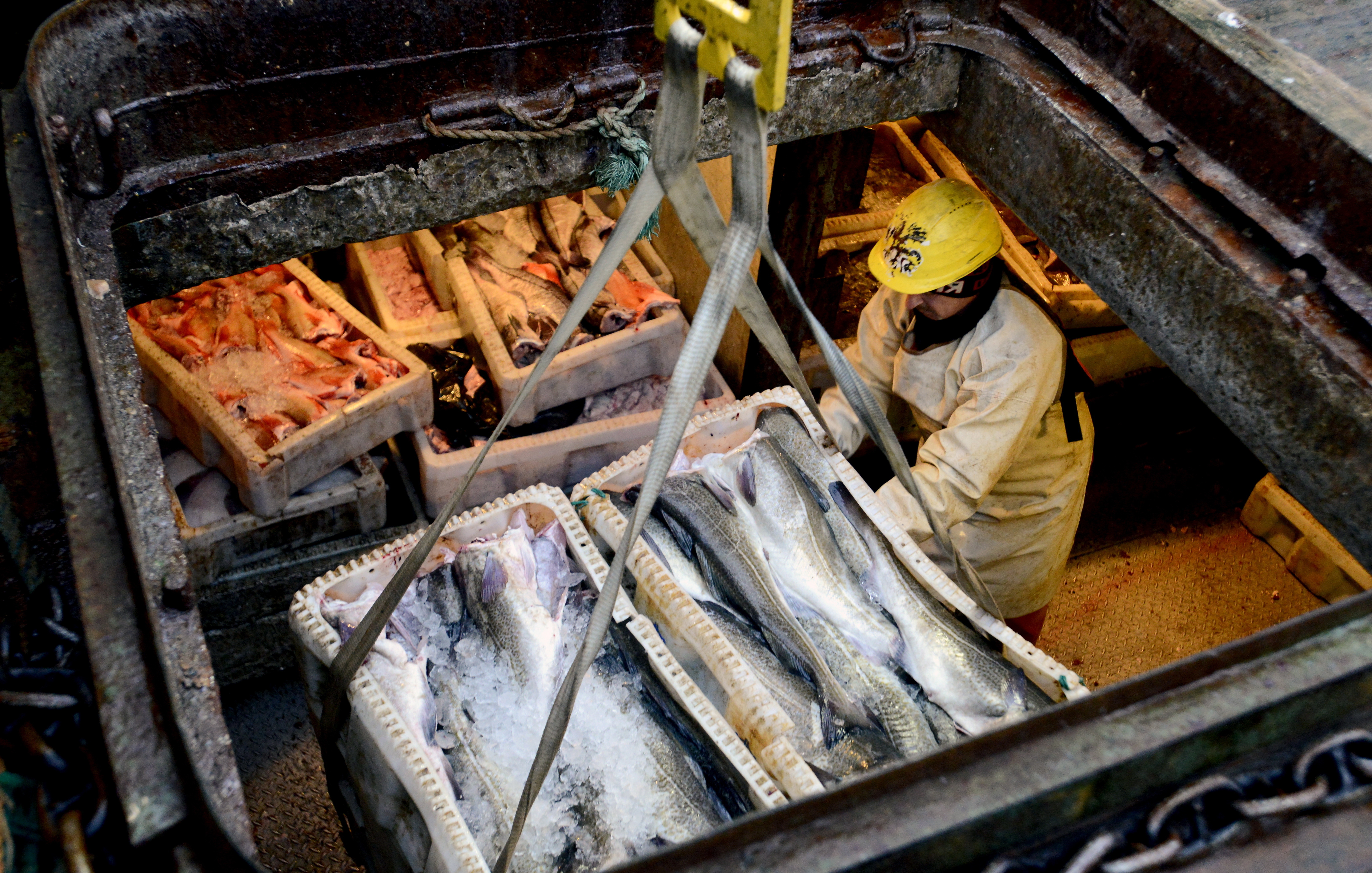 С системой "Меркурий" Россельхознадзора работают больше 80 стран