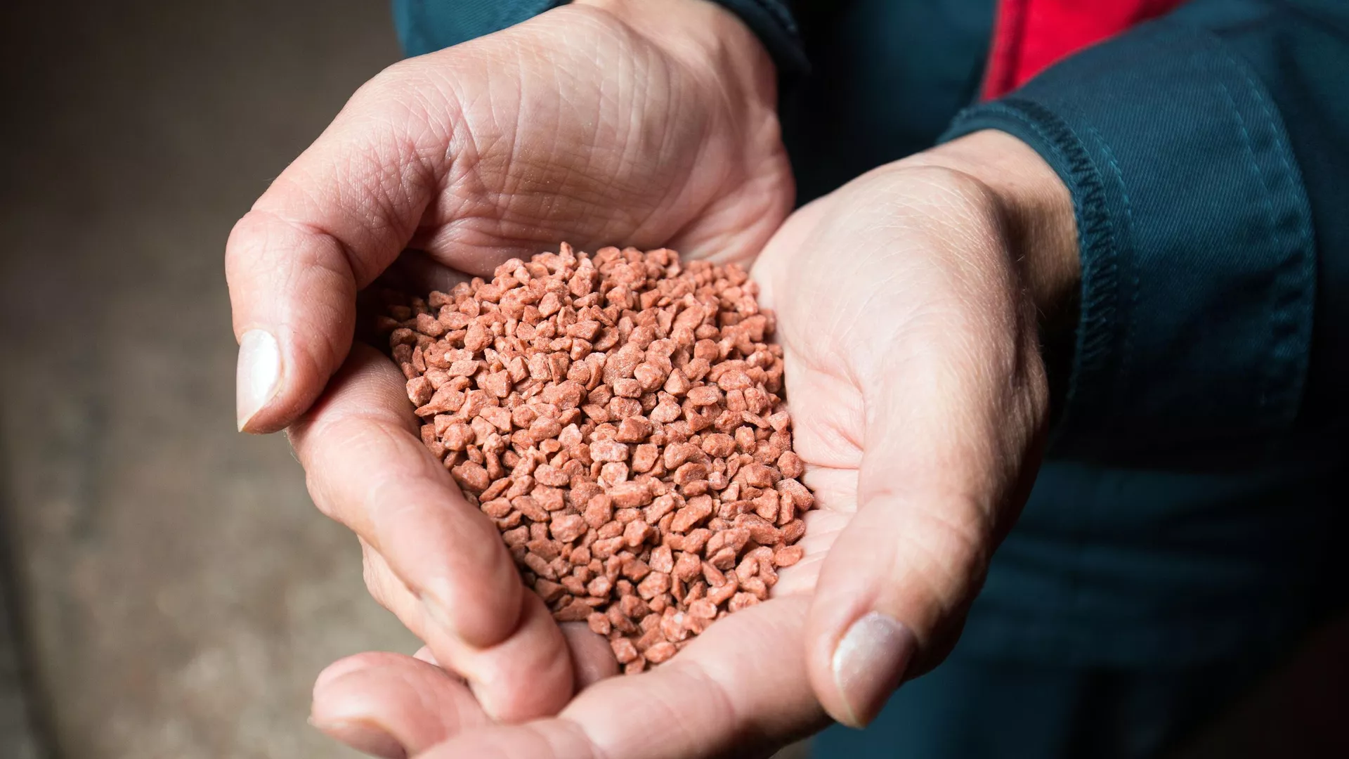 Россия является мировым лидером по экспорту удобрений, заявил Минпромторг