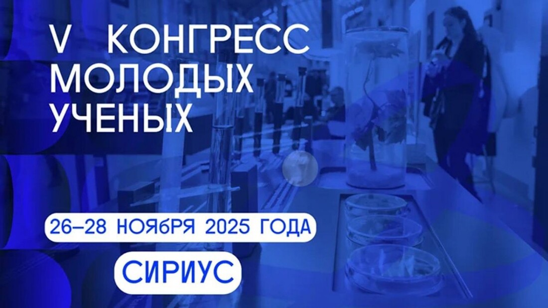 Опубликована архитектура деловой программы V Конгресса молодых ученых