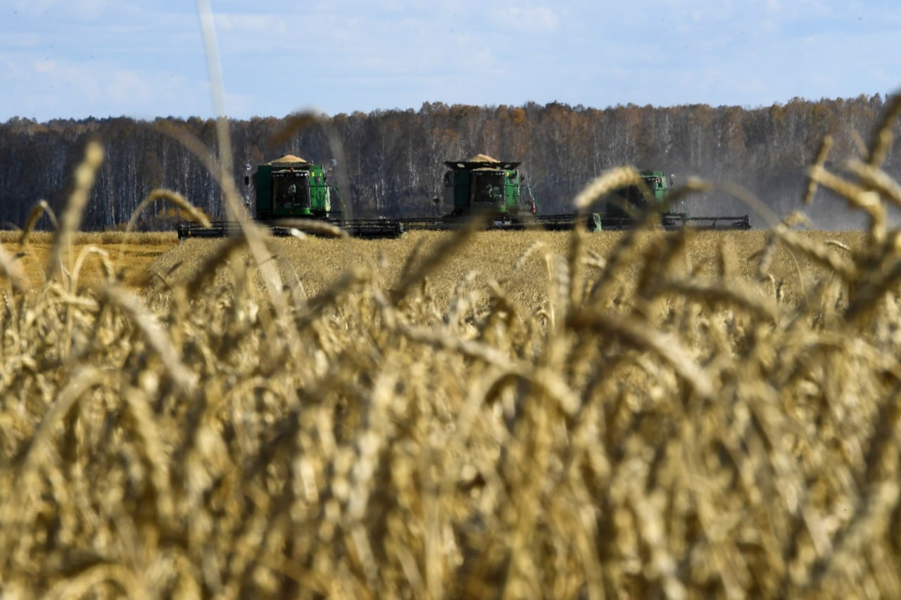 Правительство дополнительно направит 2 млрд рублей на субсидирование программы льготного кредитования аграриев