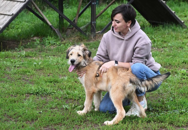 Концепция содействия развитию благотворительной деятельности в России до 2030 года