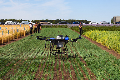 Чувашия вошла в топ-4 динамического рейтинга по цифровой трансформации АПК по итогам 2025 года