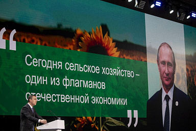 На выставке-форуме «Россия» обсудили итоги развития агропромышленного комплекса с 2000 года