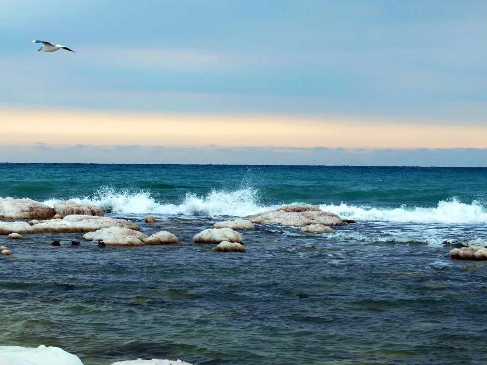 12 августа – Международный день Каспийского моря