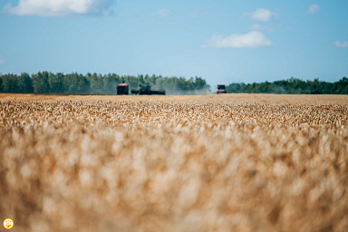 В России выручка сельхозорганизаций в 2023 году выросла на 6,6%