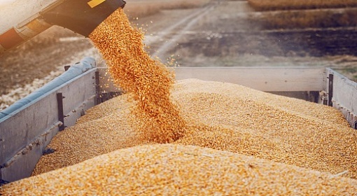 РЖД введут скидку 8,9% на перевозки зерна по части "Севера-Юга" до 30 июня 2024 года